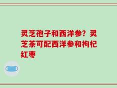 灵芝孢子和西洋参？灵芝茶可配西洋参和枸杞红枣