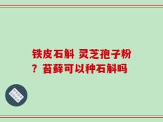 铁皮石斛 灵芝孢子粉？苔藓可以种石斛吗