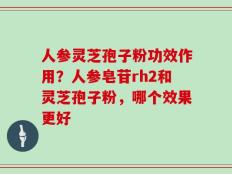 人参灵芝孢子粉功效作用？人参皂苷rh2和灵芝孢子粉，哪个效果更好