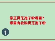 修正灵芝孢子粉哪里？哪里有收购灵芝孢子粉