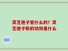 灵芝孢子管什么的？灵芝孢子粉的功效是什么