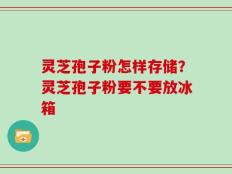 灵芝孢子粉怎样存储？灵芝孢子粉要不要放冰箱