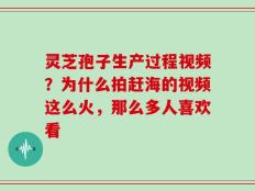 灵芝孢子生产过程视频？为什么拍赶海的视频这么火，那么多人喜欢看