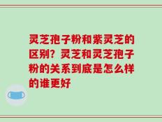 灵芝孢子粉和紫灵芝的区别？灵芝和灵芝孢子粉的关系到底是怎么样的谁更好