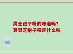 灵芝孢子粉的味道吗？真灵芝孢子粉是什么味