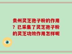 贵州灵芝孢子粉的作用？已采集了灵芝孢子粉的灵芝功效作用怎样呢