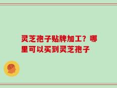 灵芝孢子贴牌加工？哪里可以买到灵芝孢子