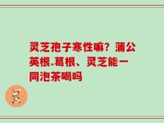 灵芝孢子寒性嘛？蒲公英根.葛根、灵芝能一同泡茶喝吗