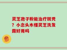 灵芝孢子粉能治疗斑秃？小念头木槿灵芝洗发露好用吗