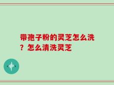 带孢子粉的灵芝怎么洗？怎么清洗灵芝
