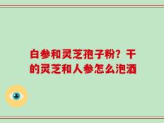 白参和灵芝孢子粉？干的灵芝和人参怎么泡酒
