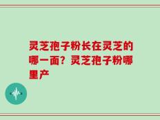 灵芝孢子粉长在灵芝的哪一面？灵芝孢子粉哪里产