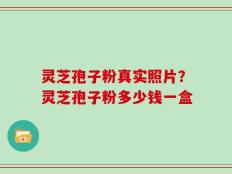 灵芝孢子粉真实照片？灵芝孢子粉多少钱一盒