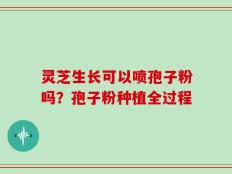 灵芝生长可以喷孢子粉吗？孢子粉种植全过程
