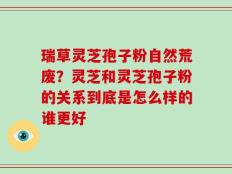 瑞草灵芝孢子粉自然荒废？灵芝和灵芝孢子粉的关系到底是怎么样的谁更好