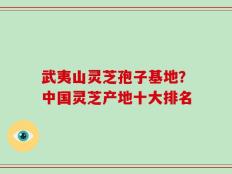 武夷山灵芝孢子基地？中国灵芝产地十大排名