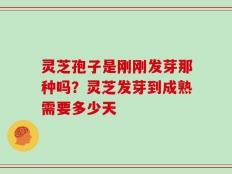 灵芝孢子是刚刚发芽那种吗？灵芝发芽到成熟需要多少天