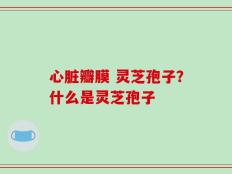 心脏瓣膜 灵芝孢子？什么是灵芝孢子