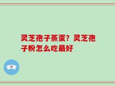 灵芝孢子蒸蛋？灵芝孢子粉怎么吃最好