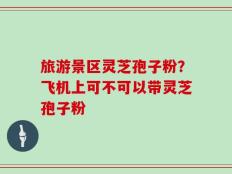 旅游景区灵芝孢子粉？飞机上可不可以带灵芝孢子粉
