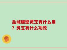 盐城破壁灵芝有什么用？灵芝有什么功效
