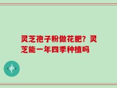 灵芝孢子粉做花肥？灵芝能一年四季种植吗