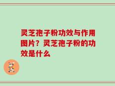 灵芝孢子粉功效与作用图片？灵芝孢子粉的功效是什么