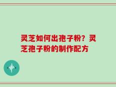 灵芝如何出孢子粉？灵芝孢子粉的制作配方