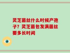 灵芝菌丝什么时候产孢子？灵芝菌包发满菌丝要多长时间