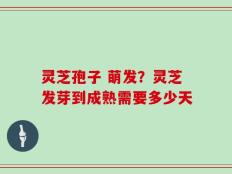 灵芝孢子 萌发？灵芝发芽到成熟需要多少天