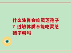什么生肖会吃灵芝孢子？过敏体质不能吃灵芝孢子粉吗