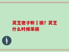 灵芝孢子粉釆摘？灵芝什么时候采摘