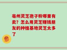 亳州灵芝孢子粉哪里有卖？怎么用灵芝赚钱朋友的种植基地灵芝太多了