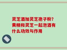 灵芝酒加灵芝孢子粉？黄精和灵芝一起泡酒有什么功效与作用