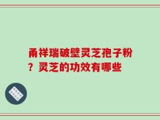 甬祥瑞破壁灵芝孢子粉？灵芝的功效有哪些