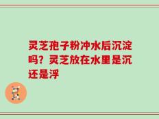 灵芝孢子粉冲水后沉淀吗？灵芝放在水里是沉还是浮