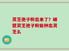 灵芝孢子粉出来了？破壁灵芝孢子粉能种出灵芝么