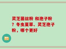 灵芝菌丝粉 和孢子粉？冬虫夏草、灵芝孢子粉，哪个更好