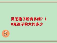 灵芝孢子粉有多细？10克孢子粉大约多少