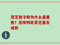 灵芝孢子粉为什么是黑色？怎样判定灵芝是否成熟
