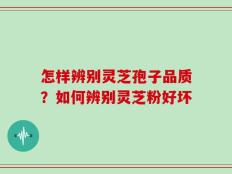 怎样辨别灵芝孢子品质？如何辨别灵芝粉好坏