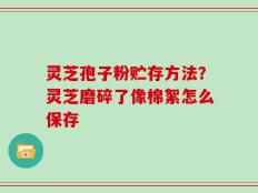 灵芝孢子粉贮存方法？灵芝磨碎了像棉絮怎么保存