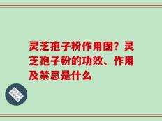 灵芝孢子粉作用图？灵芝孢子粉的功效、作用及禁忌是什么