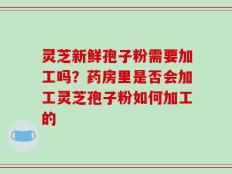 灵芝新鲜孢子粉需要加工吗？药房里是否会加工灵芝孢子粉如何加工的