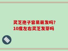 灵芝孢子容易萌发吗？10度左右灵芝发芽吗