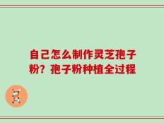 自己怎么制作灵芝孢子粉？孢子粉种植全过程