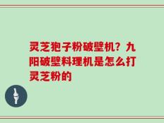 灵芝狍子粉破壁机？九阳破壁料理机是怎么打灵芝粉的