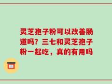 灵芝孢子粉可以改善肠道吗？三七和灵芝孢子粉一起吃，真的有用吗
