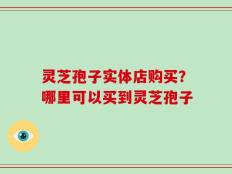 灵芝孢子实体店购买？哪里可以买到灵芝孢子