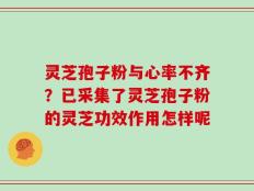 灵芝孢子粉与心率不齐？已采集了灵芝孢子粉的灵芝功效作用怎样呢